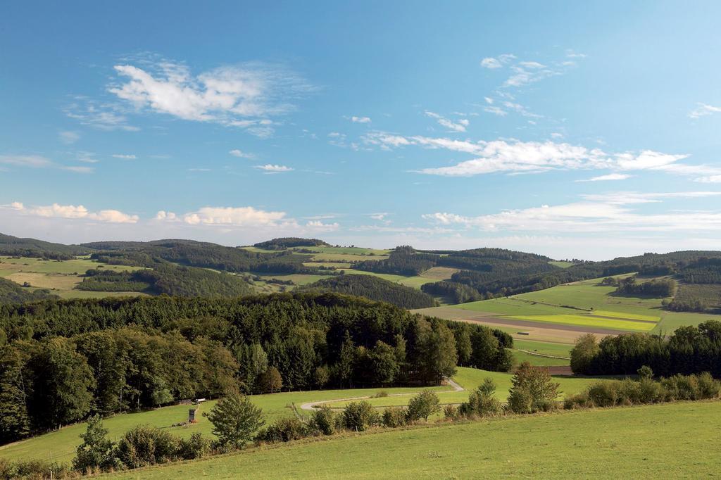 Wellnesshotel Bürgerstuben Willingen  Exterior foto